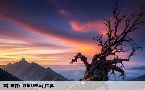 常用软件：数据分析入门工具