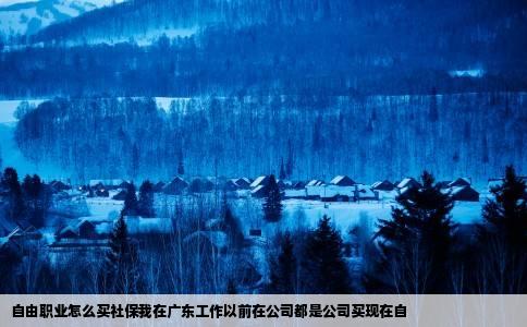 自由职业怎么买社保我在广东工作以前在公司都是公司买现在自